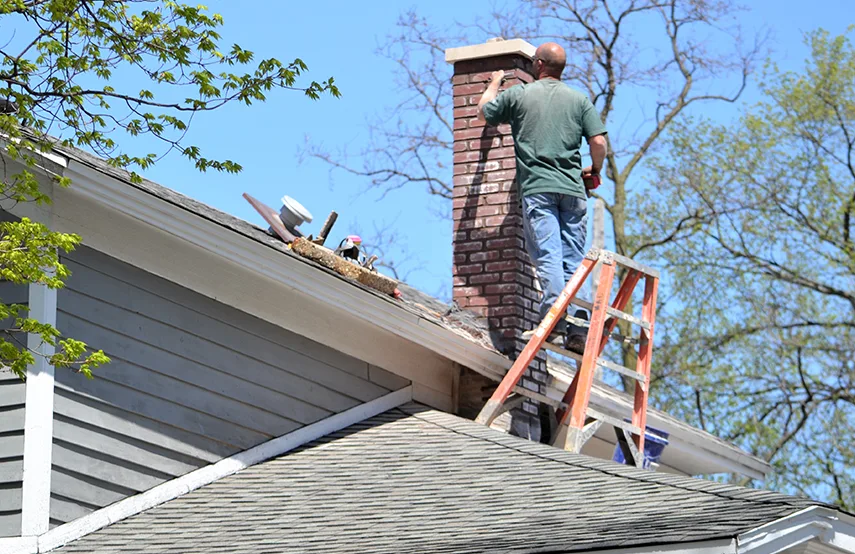Chimney & Fireplace Inspections Services in Tysons Corner, VA